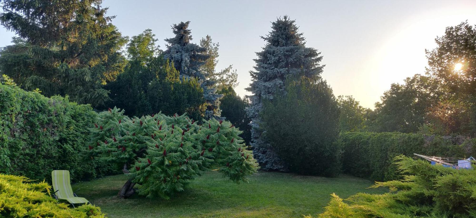 Korona Étterem Panzió Balatonberény Exterior foto