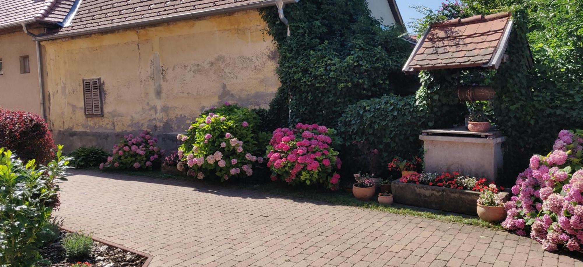 Korona Étterem Panzió Balatonberény Exterior foto