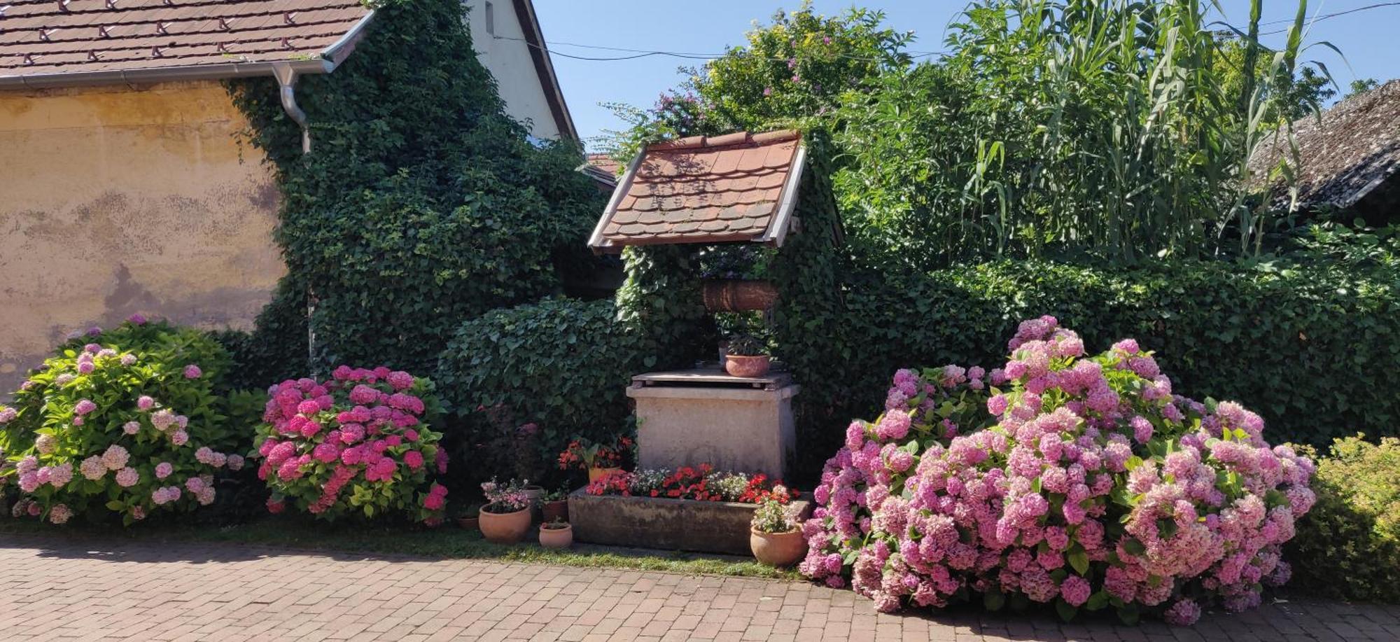 Korona Étterem Panzió Balatonberény Exterior foto
